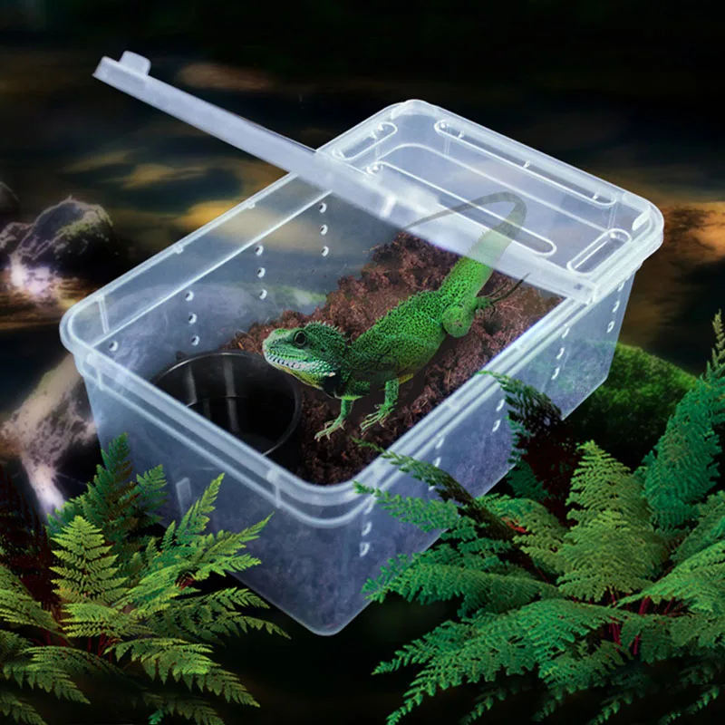 Reptile Insert Box Breathable Live Breeding Feeding Case Plastic Transport For Lizard Reptiles Amphibians Supplies