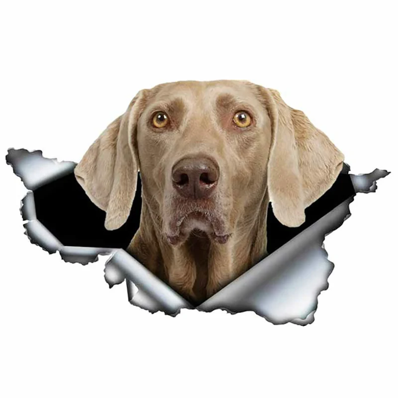 S50081# 13/15/17CM Personality PVC Decal Weimaraner V7 Waterproof Car Sticker on Motorcycle Laptop Decorative Accessories