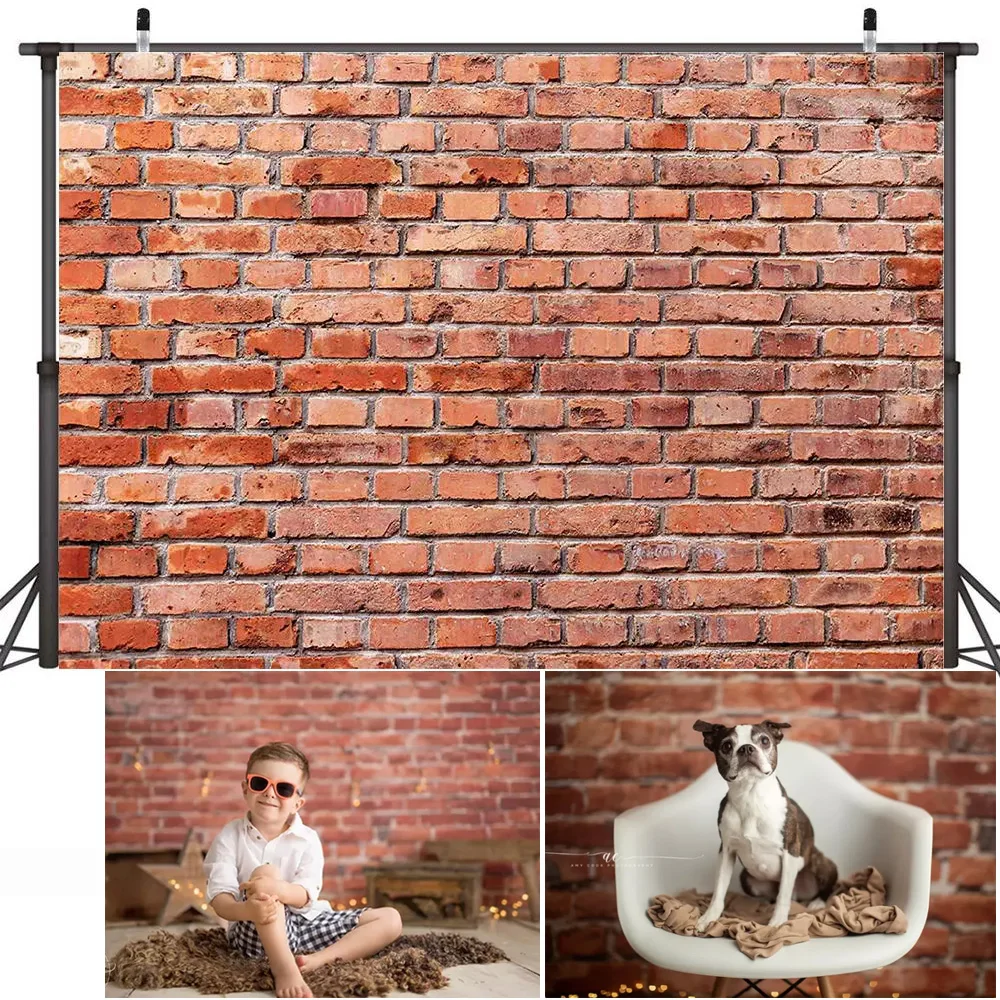 الطوب جدار صورة خلفية التصوير الفوتوغرافي الوليد الطفل أطفال عيد ميلاد كعكة سحق خلفية الغذاء الحيوانات الأليفة لا تزال الحياة استوديو التصوير الفوتوغرافي
