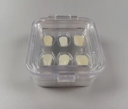 5Pis Clear Hinged Display Box 6Grids Acrylic Membrane Case Storage Plastic Jewelry For Teeth