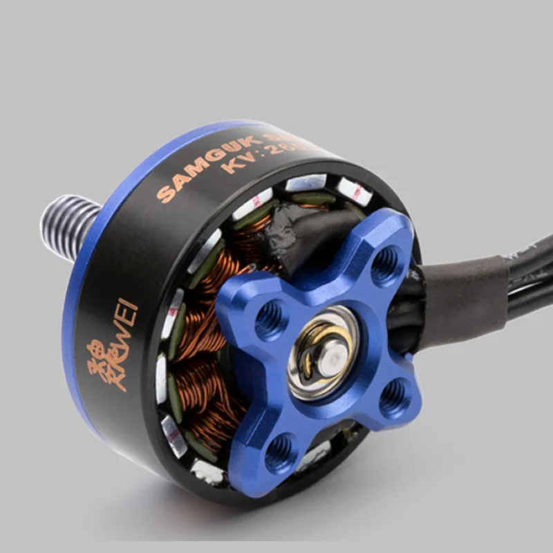 DYS Samguk serie Wei 2207 1750KV 2300KV 2600KV 3-6S Motor sin escobillas para modelos multicóptero pieza de repuesto Accs Quadcopter FPV