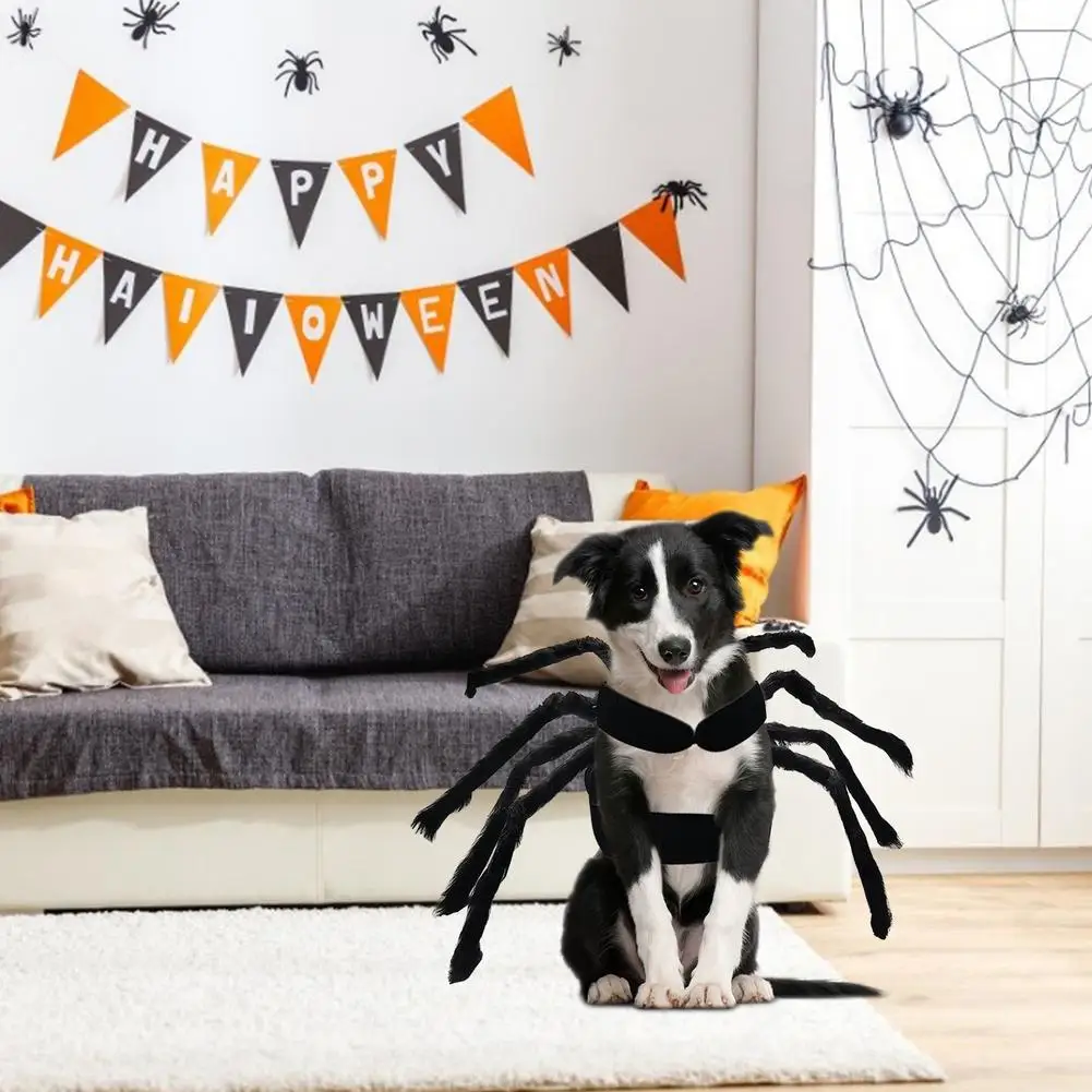 Halloween Spider Clothes For Pet Dog Cat Spider Costumes Dressing Up Pet Clothes Party Pet Halloween Props Accessories