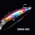 SW66-002