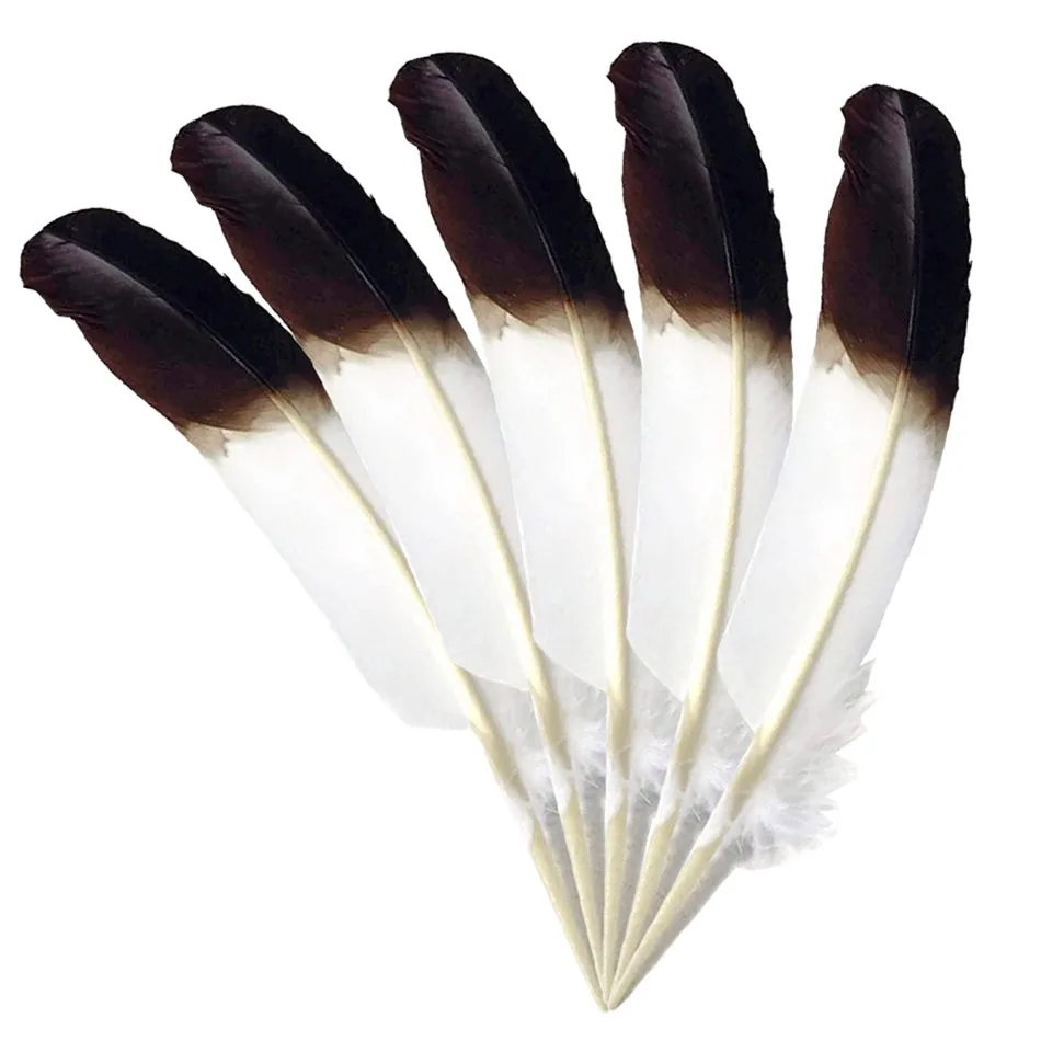 10Pcs Natural Plume White Black Turkey Feathers for Crafts Home DIY Feather Party Wedding Decoration Accessories 25-30cm