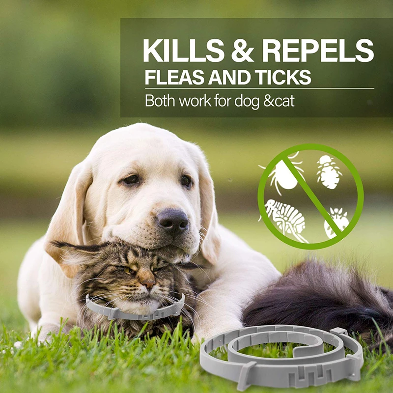 Thumbnail 2 - #3 Latest Pet Flea & Tick Control Offers