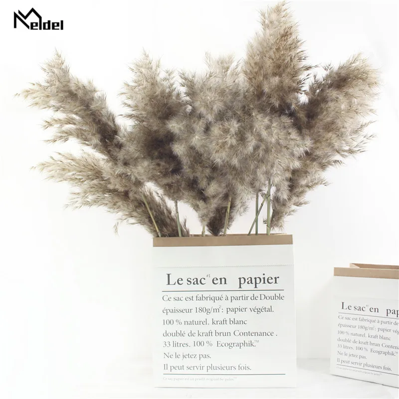 Meldel 7 Pcs Pampas หญ้าแห้งจริงพืชตกแต่งแต่งงานช่อดอกไม้ธรรมชาติ Decor พืชดอกไม้ธรรมชาติพืช