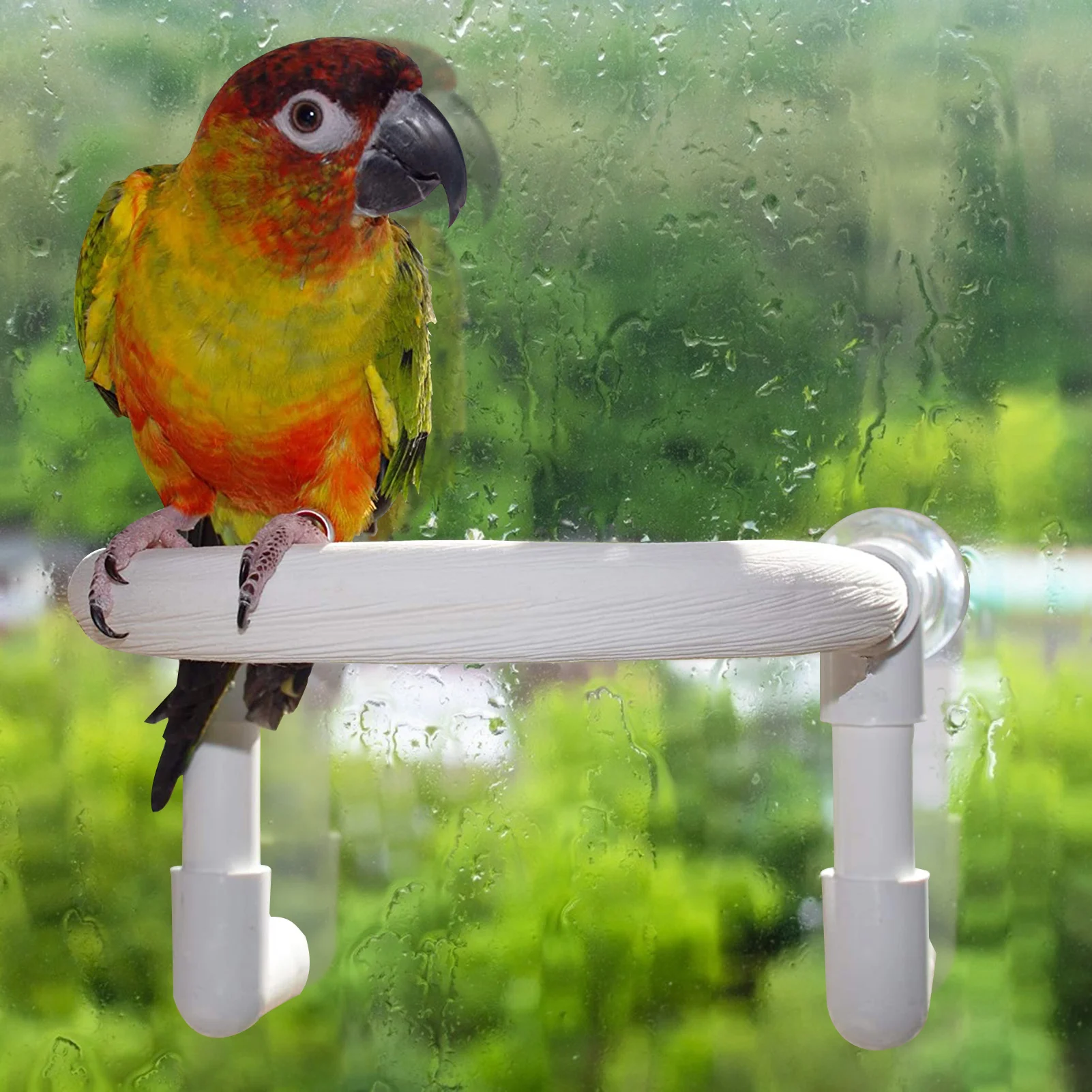 Parrot Shower Perch With Suction Cup Bird Cockatoo Bath Perch Toy