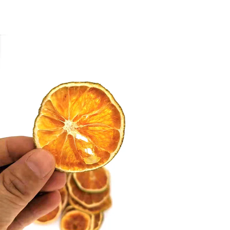 Natural Dried Pressed Fruit Orange Slices for Resin Casting Jewelry Making Craft Decoration Accessories 10pcs