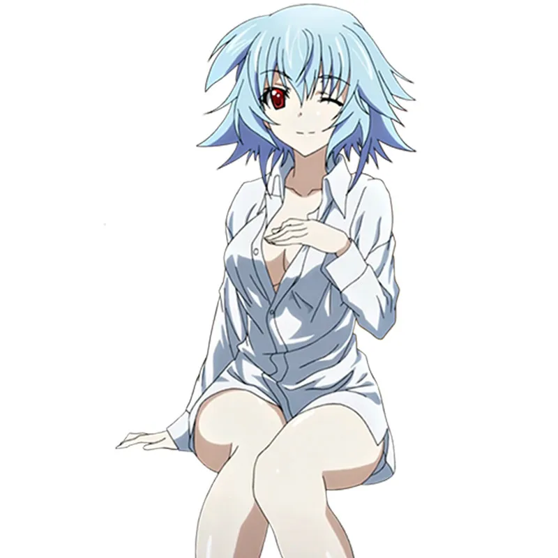 

Hot Selling Sexy Anime Car Styling Infinite Stratos Anime Sexy Girl Sarashiki Tatenashi Vinyl Decal Beauty Kk Car Sticker