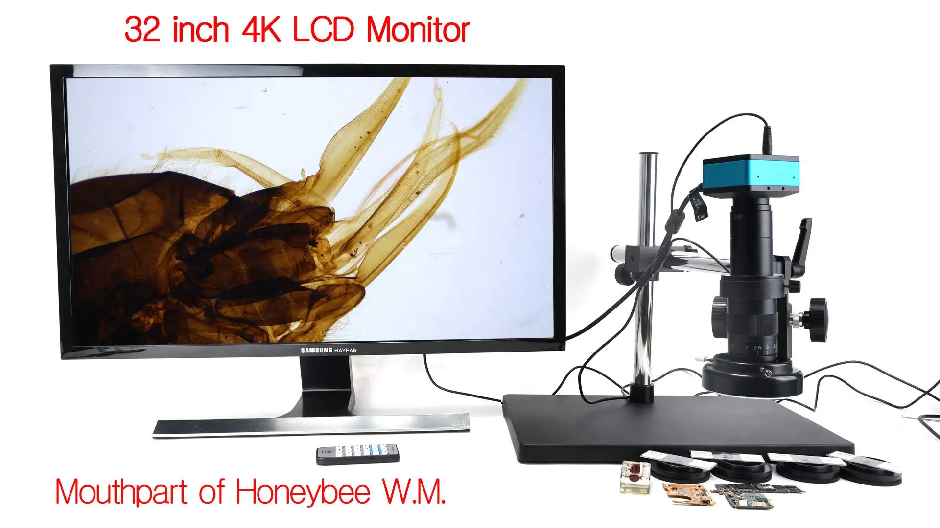 2021 New 4K UHD 2160P 1080P HDMI Industry Microscope Camera for Machine PCB Board CPU Repair Soldering Real 4K High Speed No Lag