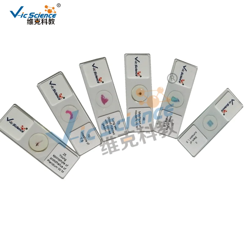 200pcs Different Items Human Pathology Prepared Slides Set