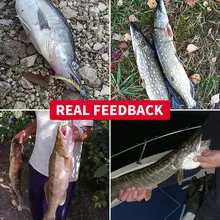 12pcs Crazy Shiner II Fishing Lures #4