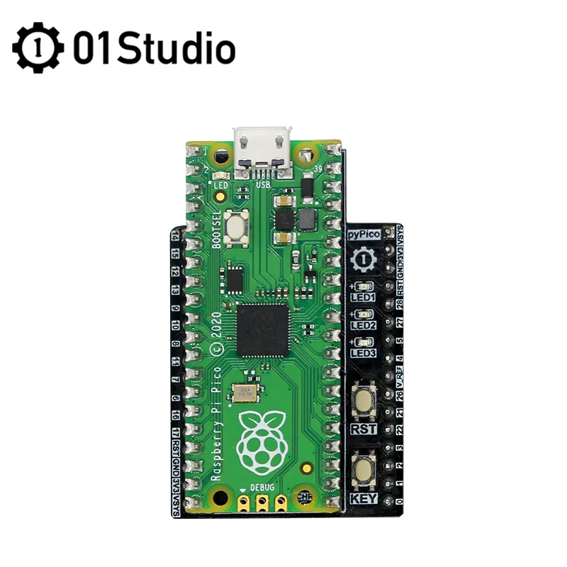 01Studio-Carte de microcontrôleur Raspberry Pi Pico Tourists, Core ARM, haute performance, à faible coût, avec interfaces numériques flexibles