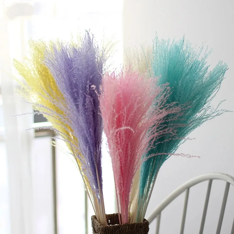 

10 pcs/lot Reed Flower Bouquet Home Table Decoration Natural Dried Flower Pampas Grass Phragmites Flower Bunch Wedding Dry Flowe