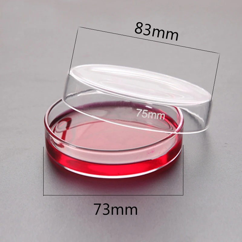 10 개/갑 75mm 유리 페트리 접시 박테리아 문화 접시 붕규산 유리 화학 실험실 장비