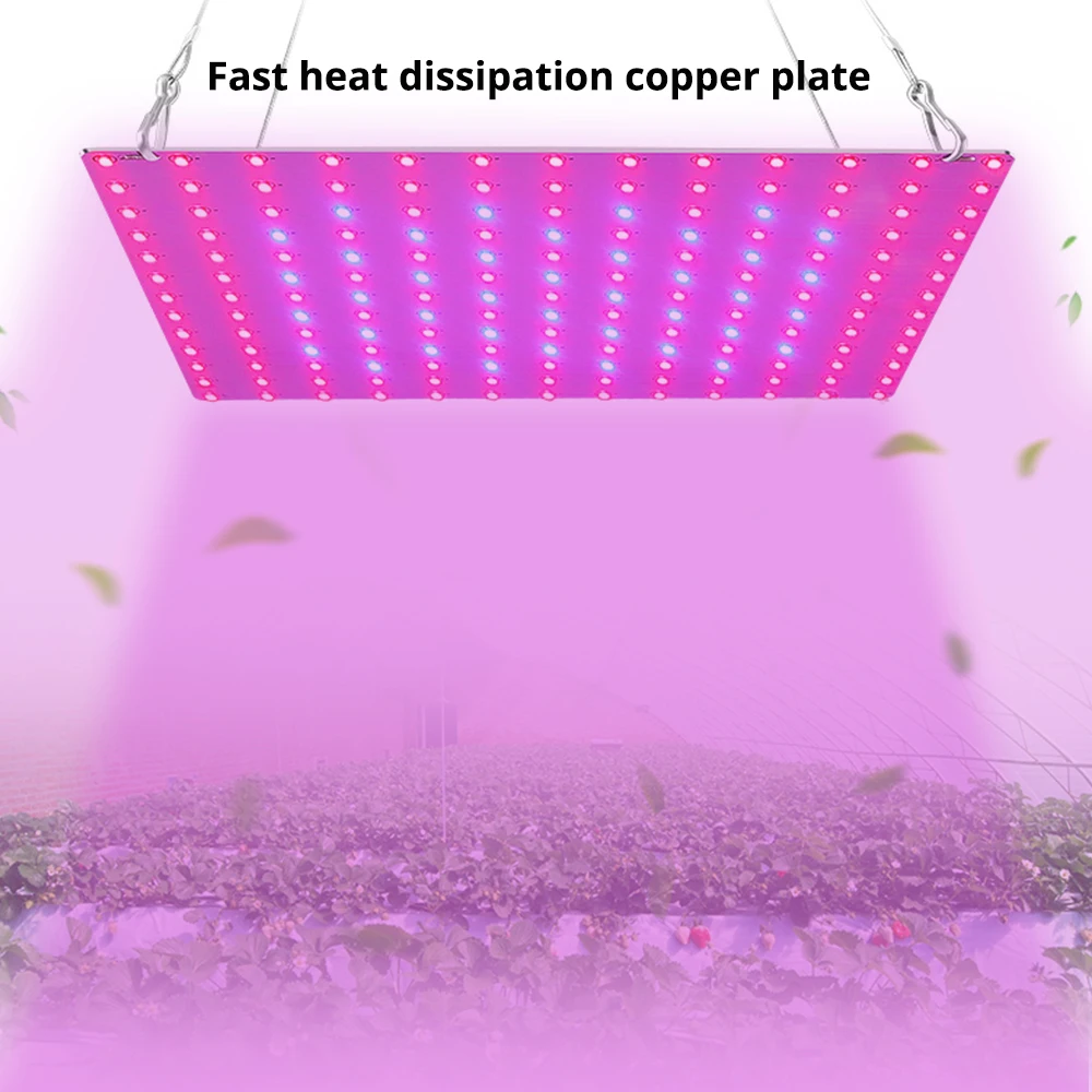 LED Grow Light with 169x2835 Lamp Beads Phytolamp for Plants Quantum Board Growth Lighting Full Spectrum Hydroponics Plant Lamp