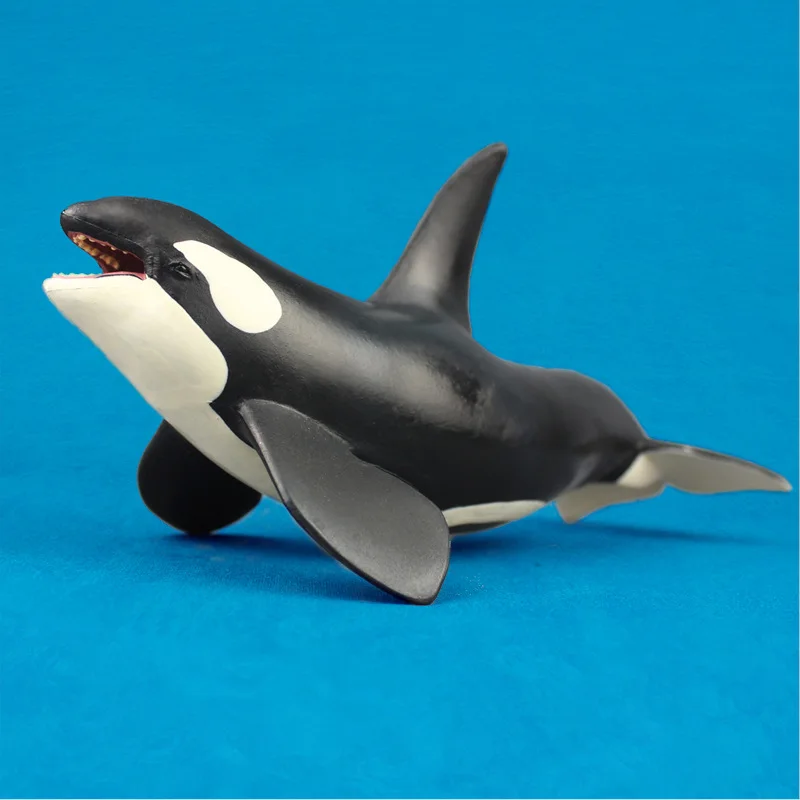 Simulation Sea World Animal Solid Figures Simulation Realistic Small Killer Whale Models Children Cognitive Whale Toys Gift