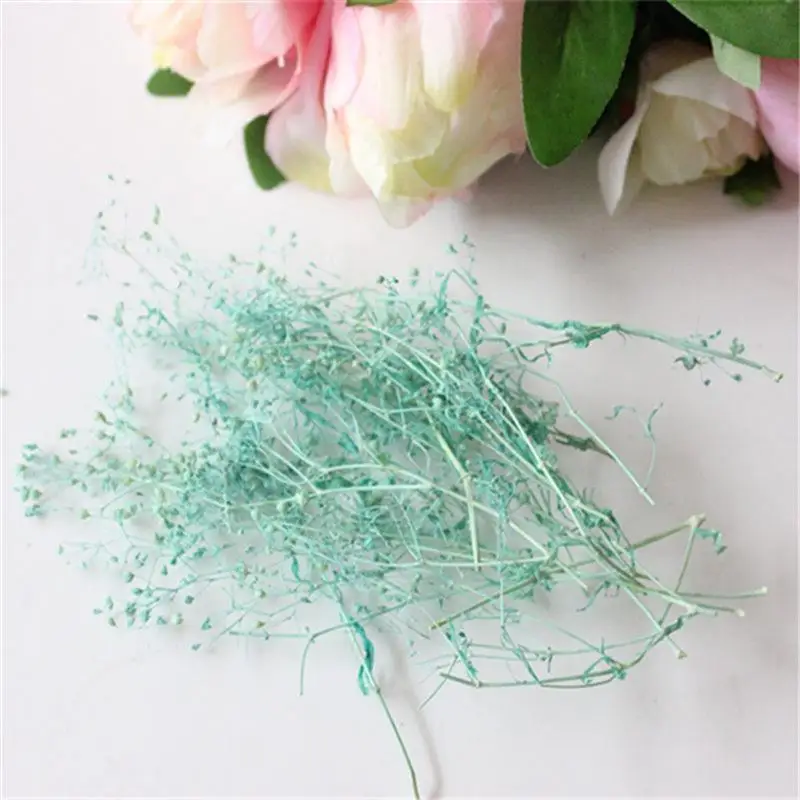 5 Packs Dried Flowers DIY Preserved Flowers Pressed Flowers Starry Flowers Dried Eternal Wreath DIY Accessories Party Supplies