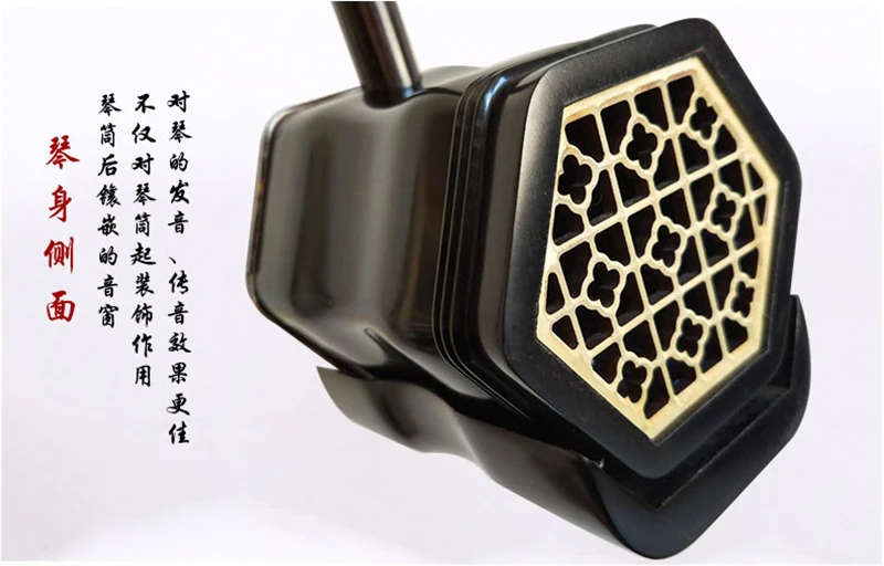 Ebony Upscale Musical Instrument by Wang Jiawang, 100% Ture Python Skin, Full Erhu Accessories, Chinese Instrument