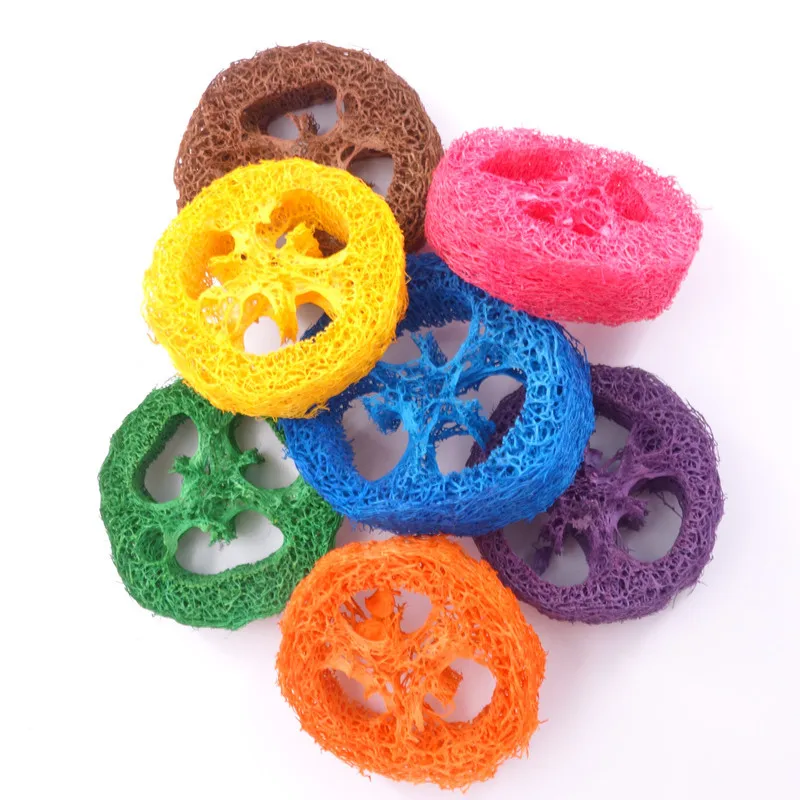 

Новинка, 6 см цветной попугай, жевательные попугаи, птица, естественное искусственное животное, таблетки для жевания, игрушки для жевания, 30 шт./лот