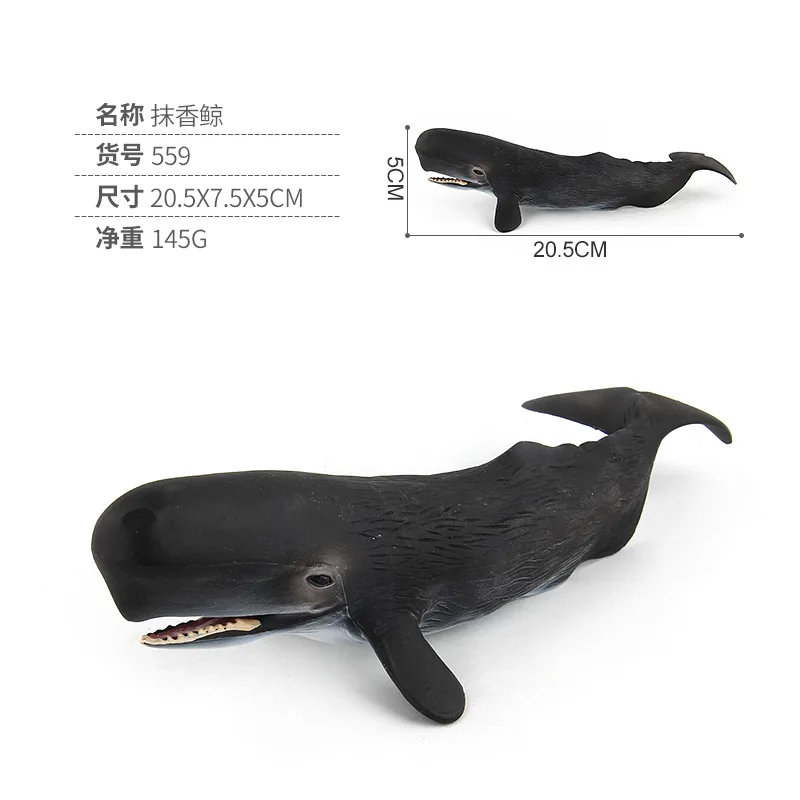 Figurines d'animaux de mer simulés, 20-28CM, baleine bleue, requin, beluga, jeu d'action, modèle cadeau pour enfants