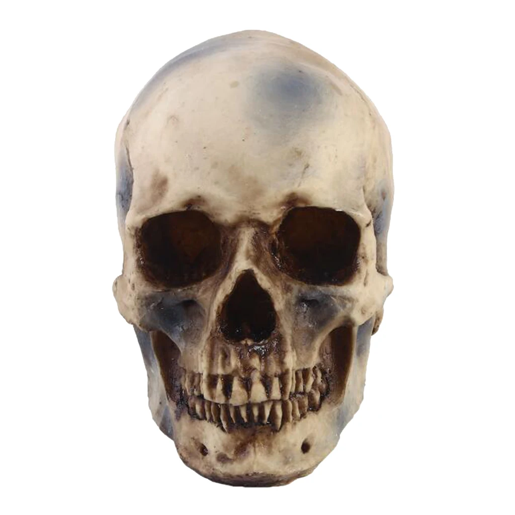 Simulation Human Skull Skeleton Head Resin Skull Statue Skeleton Head Collectible Decor for Home Office Shop Tabletop Ornament