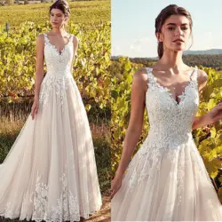 Customized Classic V-Neck Wedding Dresses Champagne A-line Appliques Floor Length Vestidos De Noiva 2021 Bridal Dresses Cheap