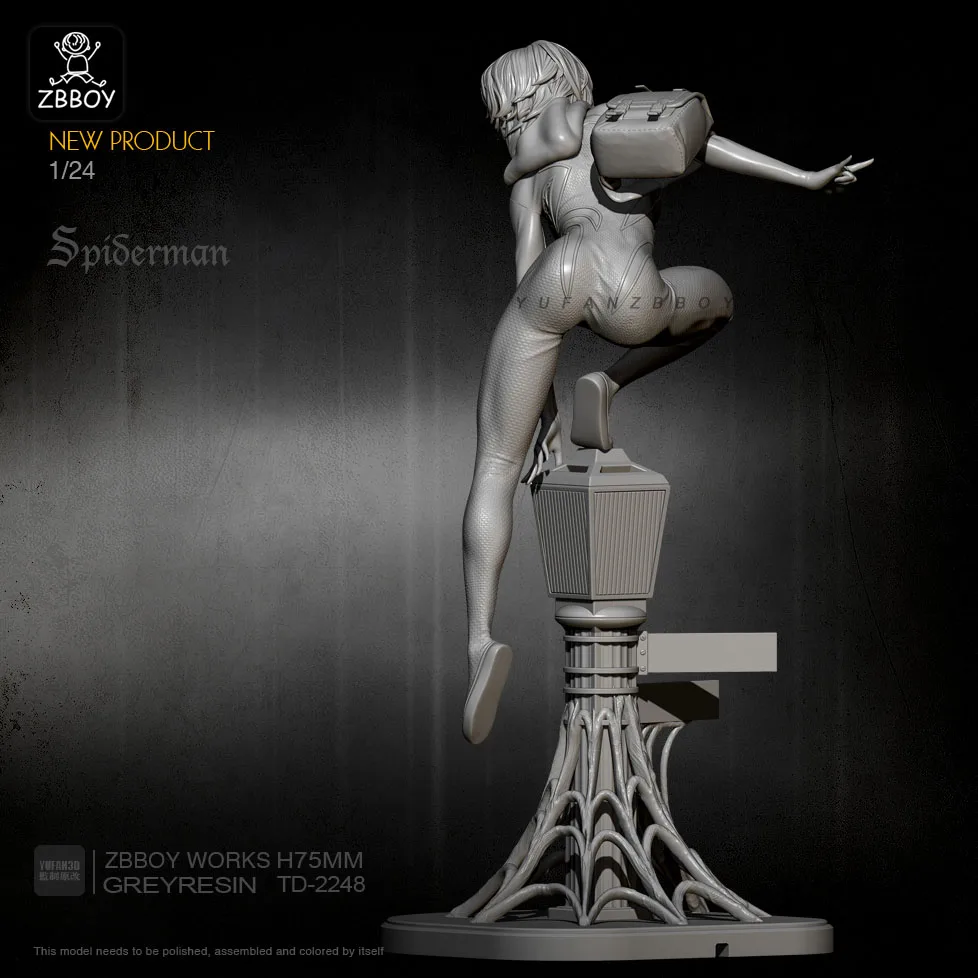1/24 Resin Model Kits  Figure Self-assembled TD-2248