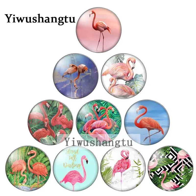 

Fashion Beauty Flamingo Animals 10pcs 12mm/18mm/20mm/25mm Round photo glass cabochon demo flat back Making findings ZB0543