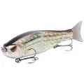Striper
