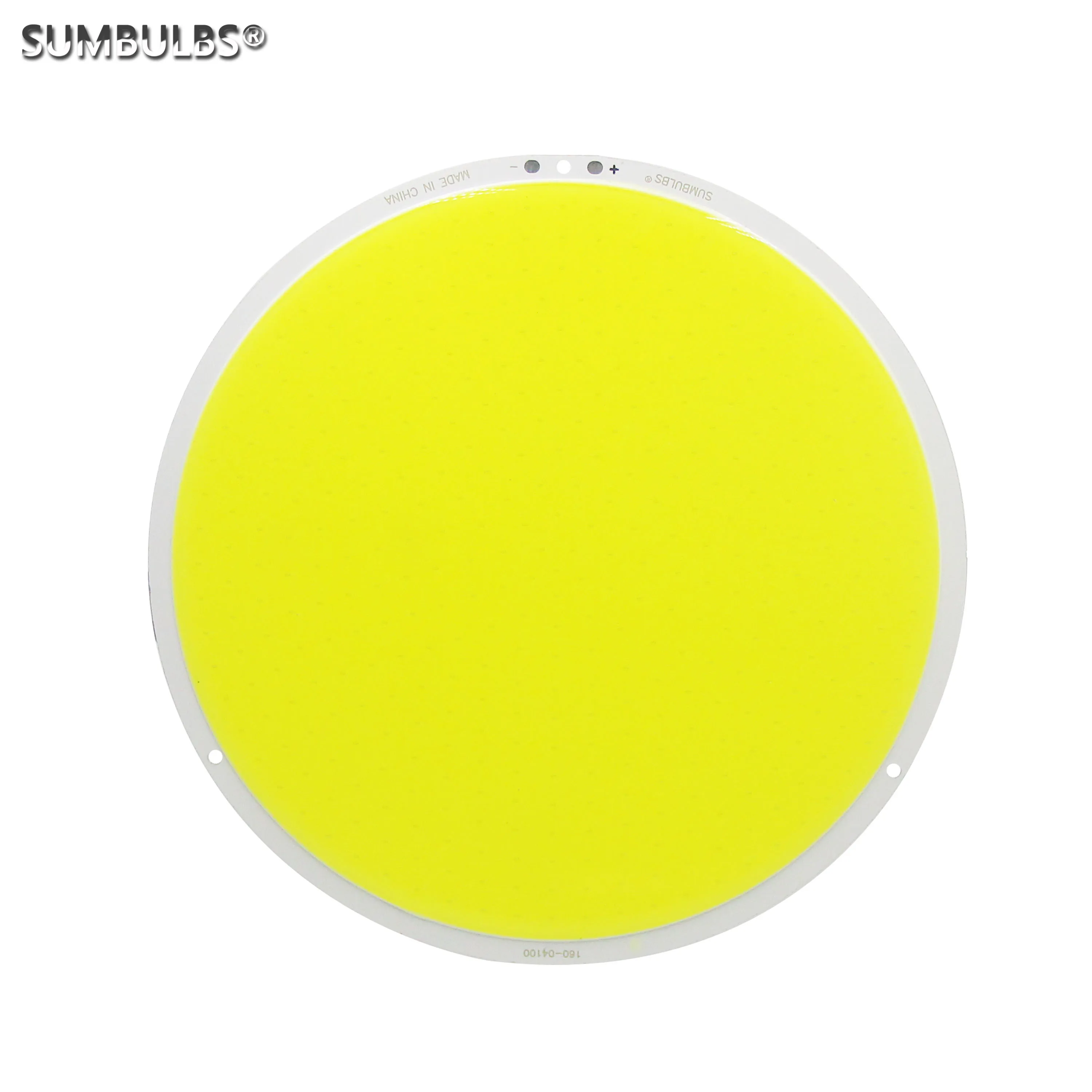 SUMBULBS Super Bright 160mm Circular DC 12V LED COB Light Source Round LED Bulb 200W Warm Cold White for DIY Ourdoor Lamp