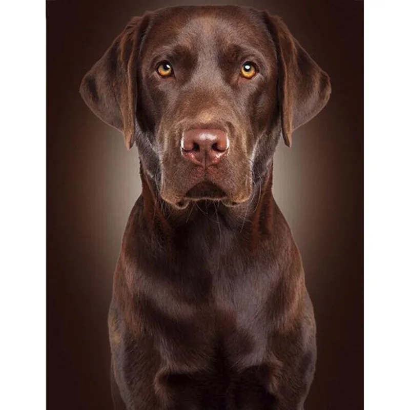 Full Square/round 5D DIY Diamond Painting Labrador retriever 3D Diamond Embroidery Sale Rhinestones Mosaic Home Decoration