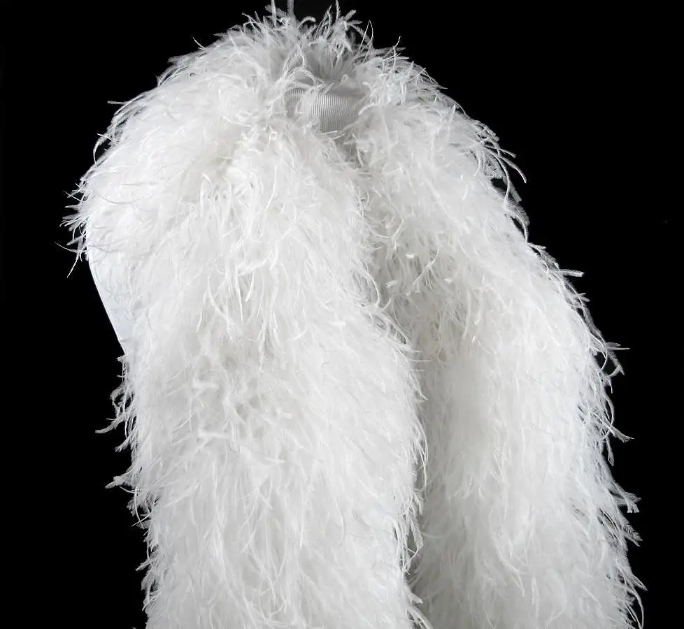 

2Meters White Ostrich Feathers Boas 3-30ply for Wedding Dress Skirt Plume Shawl Decoration Carnival Clothes Accessory Crafts