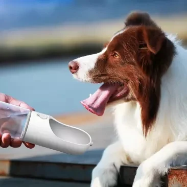 Xiaomi-Youpin Transparente Portátil Pet Water Cup, Outdoor Cat and Dog Water Dispenser, Acompanhando Cup