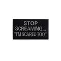 21 Stop Screaming