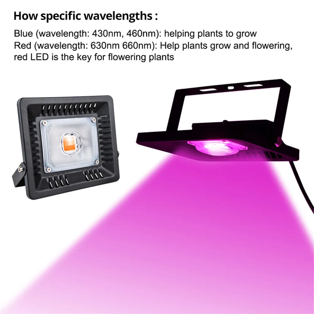 Full Spectrum LED Grow Light Waterproof IP67 50W 100W 200W 300W COB Growth Flood Light for Plant Indoor Hydroponic Greenhouse