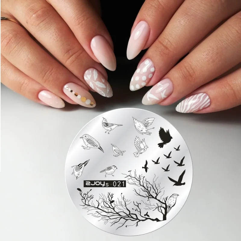 Round Nail Art Stamp Stamping Plates Template Set Halloween Christmas Cute Animal Flower Rose Lace Image 5.5cm Manicure Plate