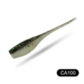 CA100