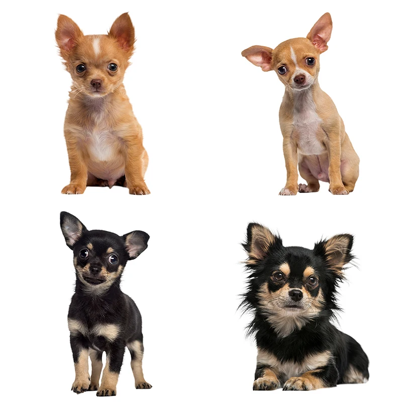 Three Ratels QC388 HD pixel cute Chihuahuas Waterproof dog sticker Vinyl auto Wrap for car hood home decoration decals