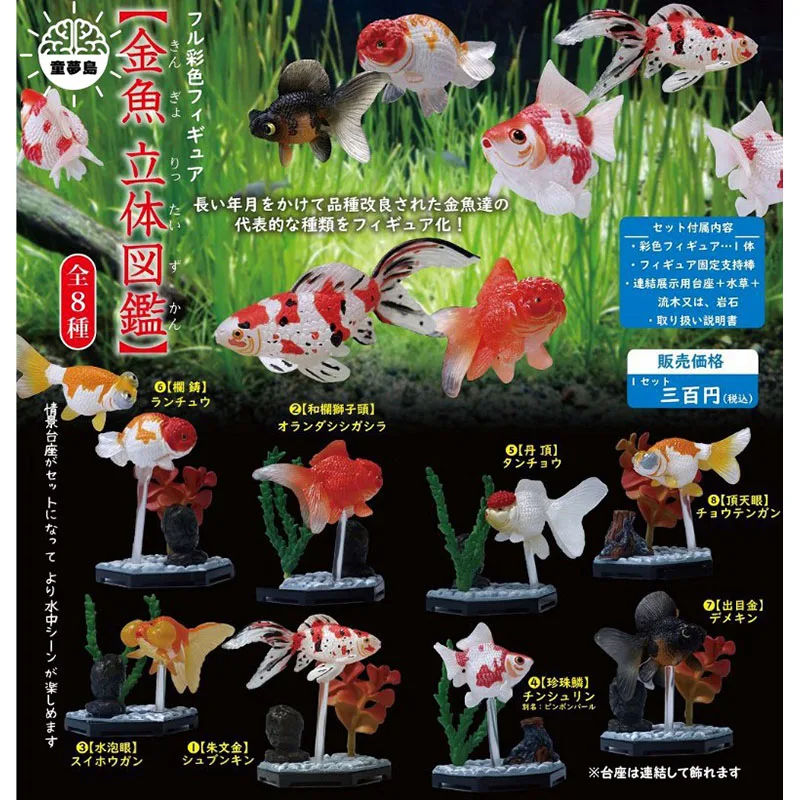 Three Dimensional Atlas of Goldfish Gashapon Toys Mini Goldfish Scene 8 Kinds Action Figure Model Ornaments Toys