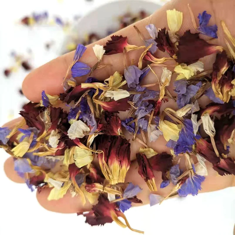 Real Dried Flower petals Dry Plants For Aromatherapy Candle Epoxy Resin Pendant Necklace Jewelry Making Craft DIY Accessories