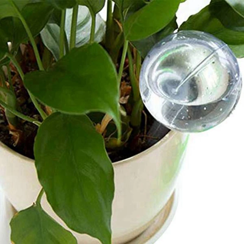 5 Pcs Automatic Watering Device Globes Vacation Houseplant Plant Pot Bulbs Garden Waterer Flower Water Drip Watering