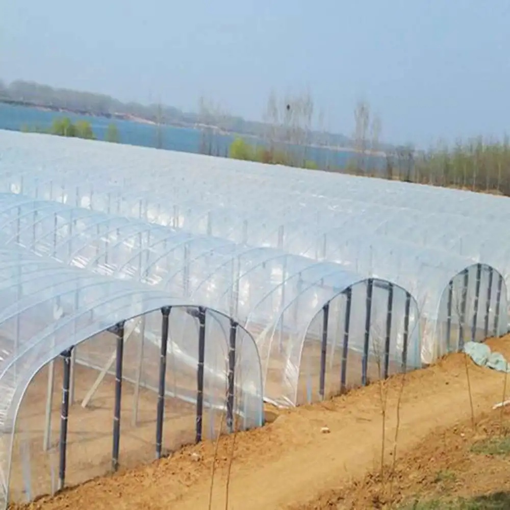 Greenhouse Film Gardening Growhouse Frame Vegetable Plant Flowers Mesh Bird Insect Protective Covers Film Rain-Proof Keep Warm