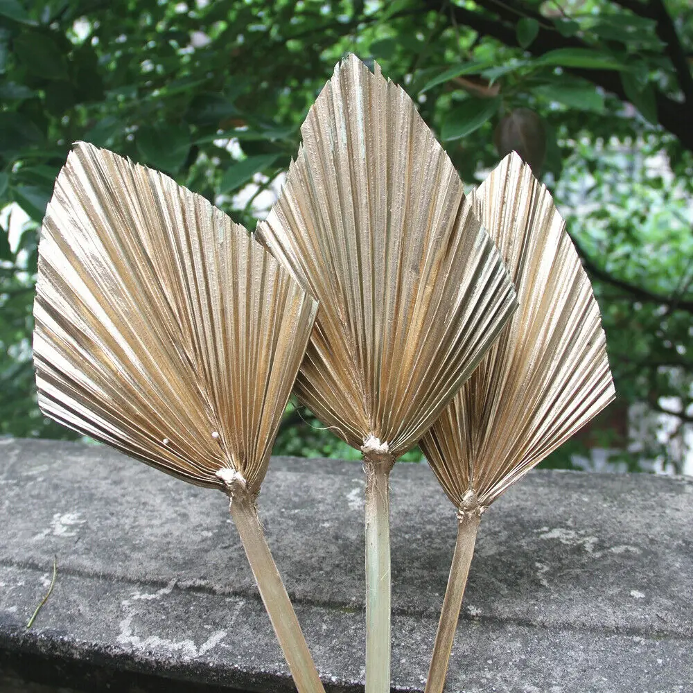 3pcs/set Garden Gold Dried Spear Palm Leaves CAKE TOPPER Letterbox Palm Spears Outdoor Home Decoration KYY1442