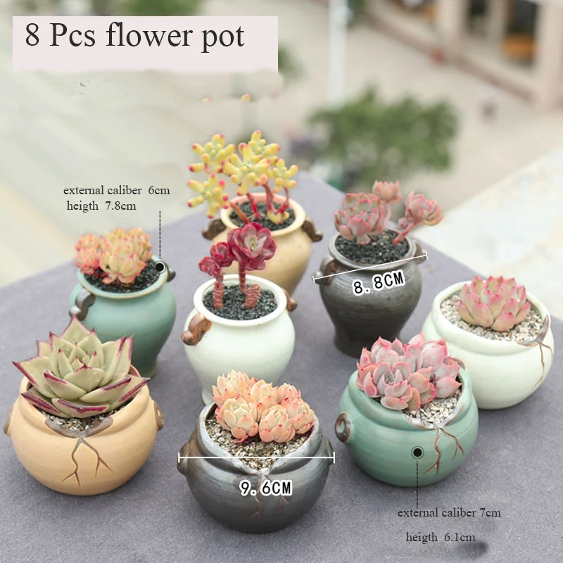 

Colour Stean Flower Pot Succulent Cactus Pot Plant Garden Ceramic Planter Mini Pots Outdoor Garden Home and Living