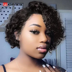 Wignee Natural Human Wig Short Curly Bob Wig 150% Density Kinky Curly Black Hair Brazilian Curly Human Hair Wigs for Black Woman