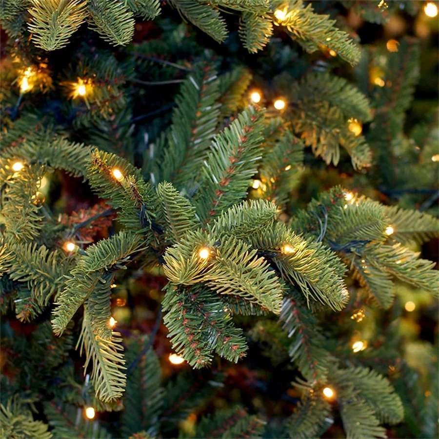 7M 100 Count Clear Christmas String Light Outdoor Incandescent Bulbs Mini Fairy Light Garland for Patio Holiday Party Decor