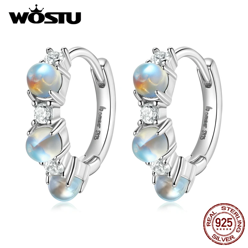 WOSTU 925 Sterling Silver Simple Blue Moonstone Hoop Earrings For Women Fashion Wedding Silver Jewelry CTE532