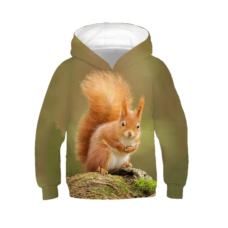 Jumeast Boy Girl 3D Children Sweatshirt Animal Grey Fox Squirrel Long Sleeve Spring Autumn Kids Cap Hoody Sport Pullover Hoodies