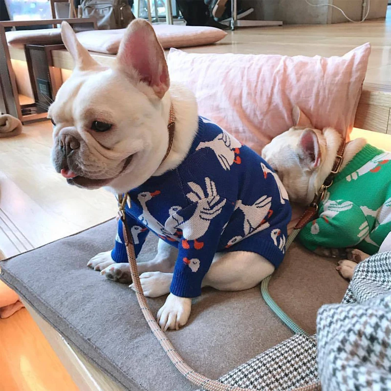 SUPREPET Pet Dog Sweater for French Bulldog Korea Style Duck Pattern Pet Dog Sweaters for Dog Winter Dog Clothes for Chihuahua